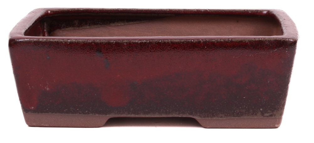 Bonsai - Schale eckig 18.5 x 14 x 6 cm bordeaux 22150