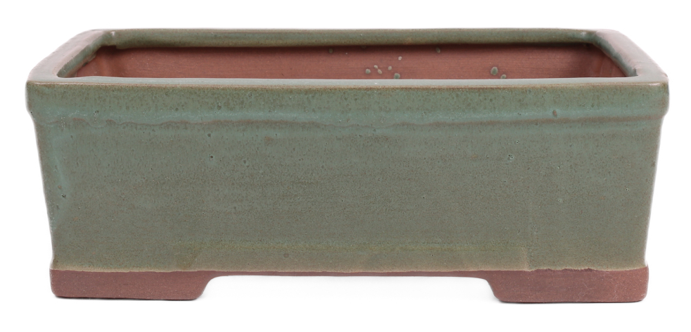 Bonsai - Schale eckig 22 x 16 x 7.5 cm mattgrün  22152