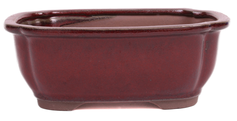 Bonsai - Schale eckig 21.5 x 16.5 x 8 cm bordeaux 22164