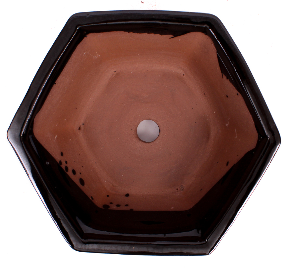 Bonsai - Schale 6-eckig 18.5 Ø x 7 cm schwarz  22170