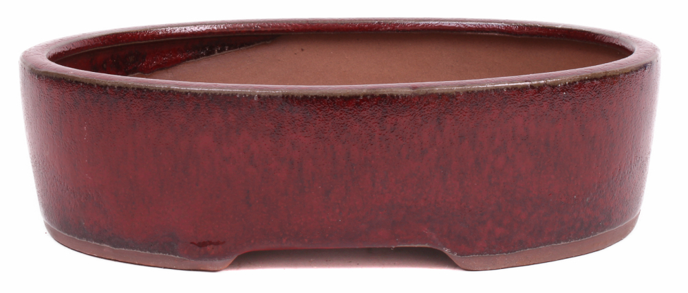 Bonsai - Schale oval 20.5 x 16 x 6 cm bordeaux  22184