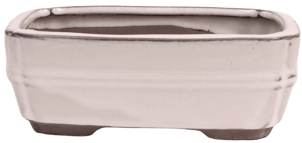 Bonsai-Schale eckig 15,5 × 12 × 5,5 cm cremefarben glasiert