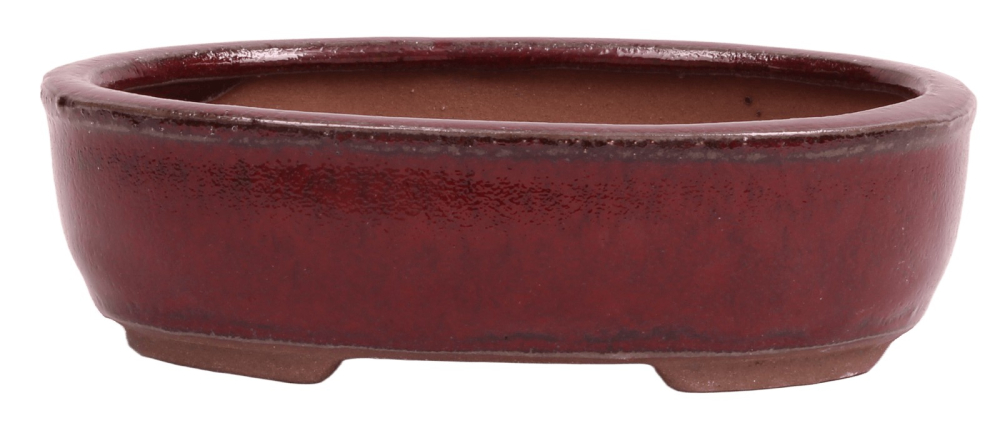 Bonsai-Schale oval 16 × 12 × 5 cm bordeauxfarben glasiert
