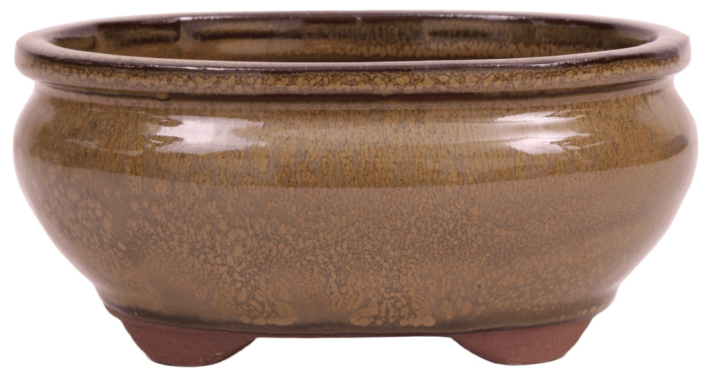 Bonsai-Schale oval 16,5 × 12,5 × 7,5 cm hellbraun glasiert
