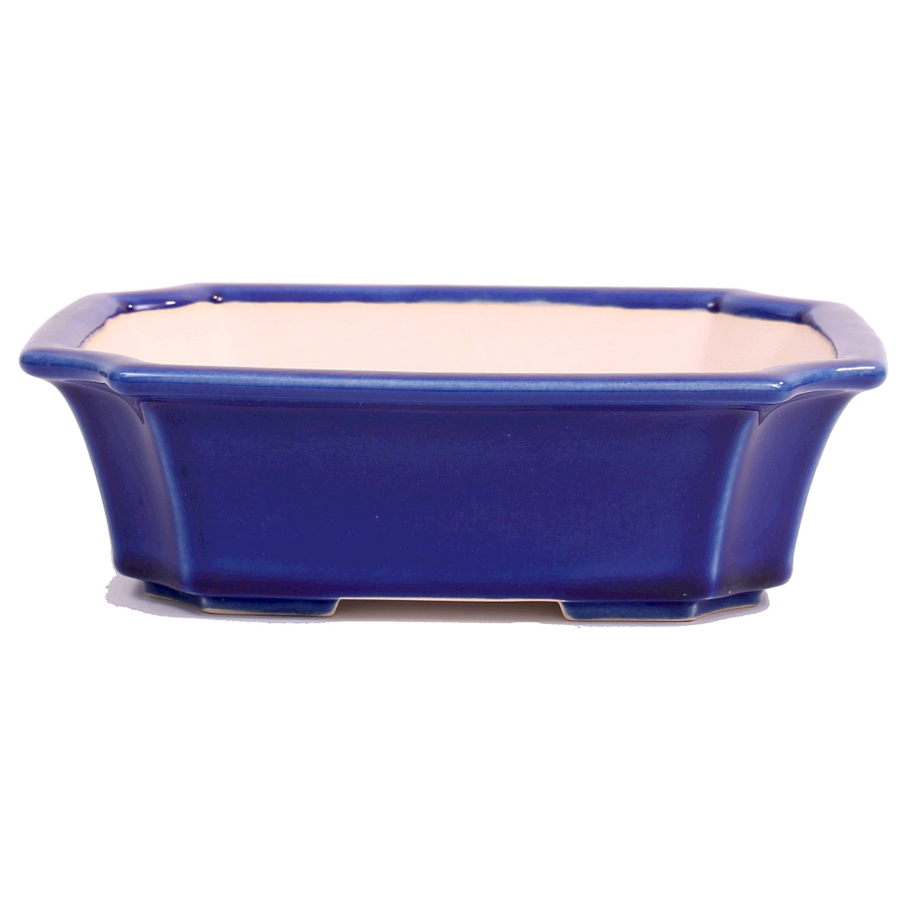 Bonsai - Schale eckig 22 x 17 x 6,5 cm  blau 22882