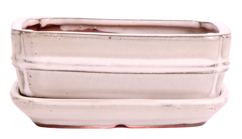 Bonsai - Schale eckig 15.5 x 12 x 5.5 cm , creme, mit Untersetzer 23172