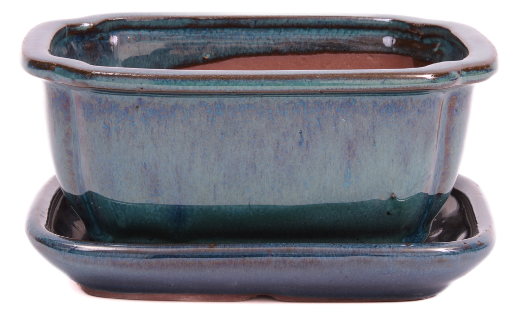 Bonsai - Schale eckig 16 x 12.5 x 7.5 cm , grün - blau , mit Untersetzer 23176