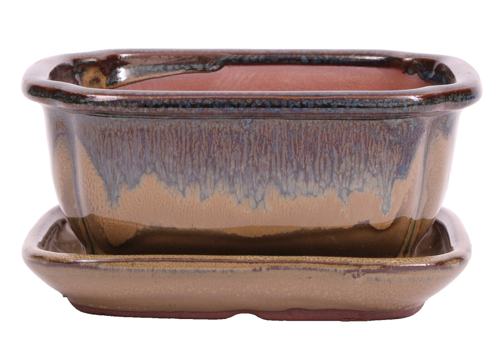 Bonsai - Schale eckig 16 x 12.5 x 7.5 cm , beige / grünblau , mit Untersetzer 23187