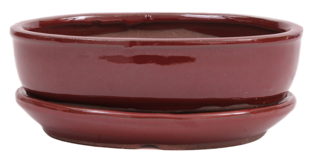 Bonsai - Schale oval 16 x 12 x 4.8 cm braunrot mit Untersetzer 23188