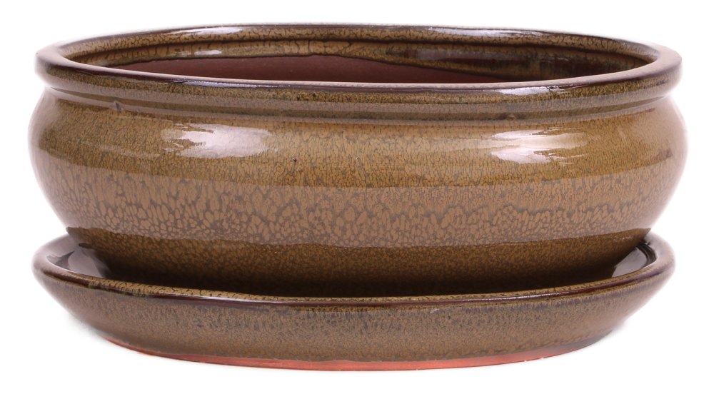 Bonsai - Schale oval 20.5 x 16.5 x 8 cm mit Untersetzer hellbraun 23198