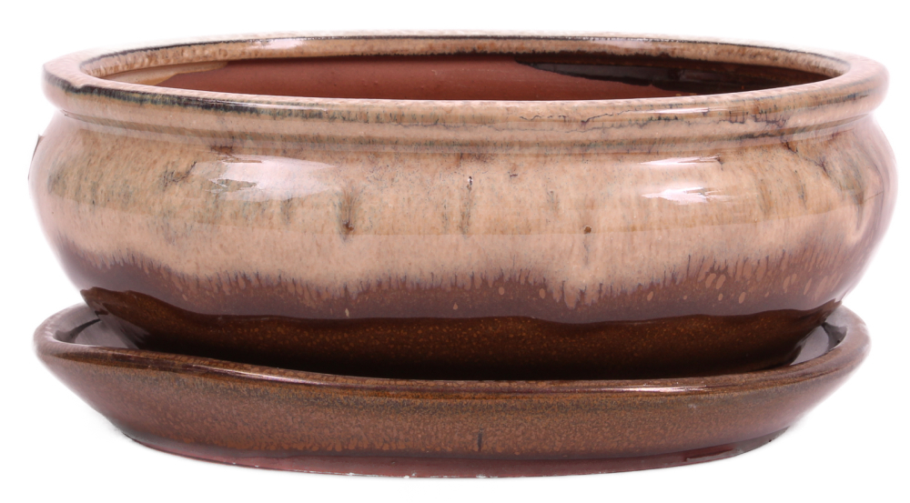 Bonsai - Schale oval 21 x 16.5 x 8 cm , beige / braun , mit Untersetzer 23204