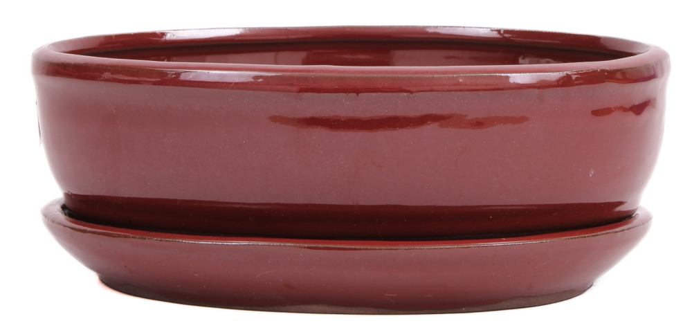 Bonsai - Schale oval 22 x 16.5 x 6.5 cm  braunrot mit Untersetzer 23209