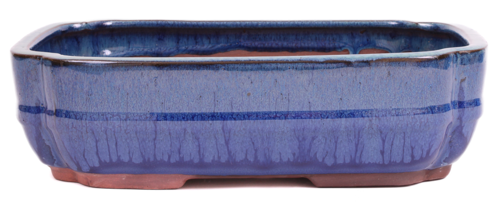 Bonsai - Schale eckig 27 x 20.5 x 7.5 cm  grün / blau 30062