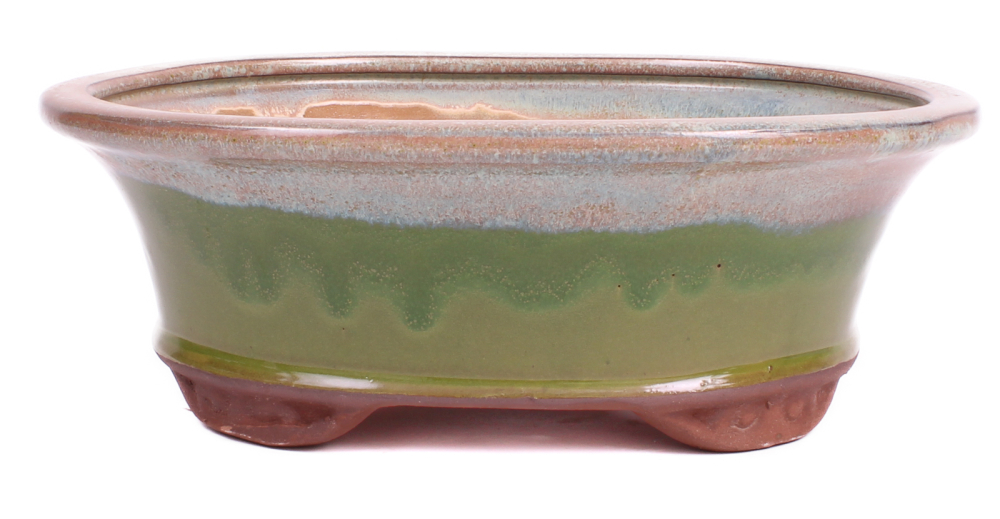 Bonsai - Schale oval 26 x 21 x 9.5 cm beige / grün 30065