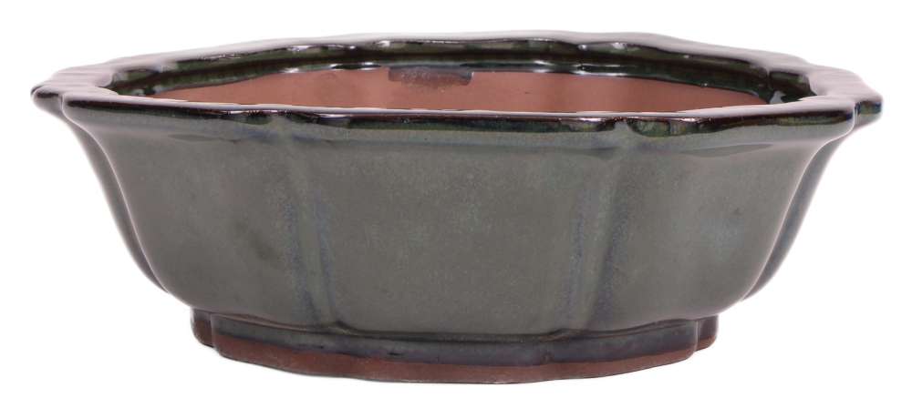 Bonsai - Schale rund 26.5 Ø x 8.5 cm moosgrün  30132