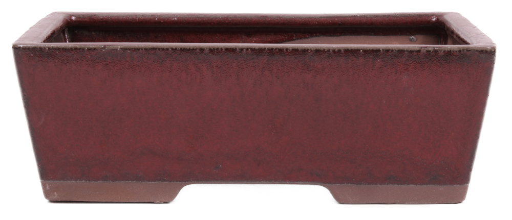 Bonsai - Schale eckig 24.5 x 18 x 8.5 cm bordeaux 30141