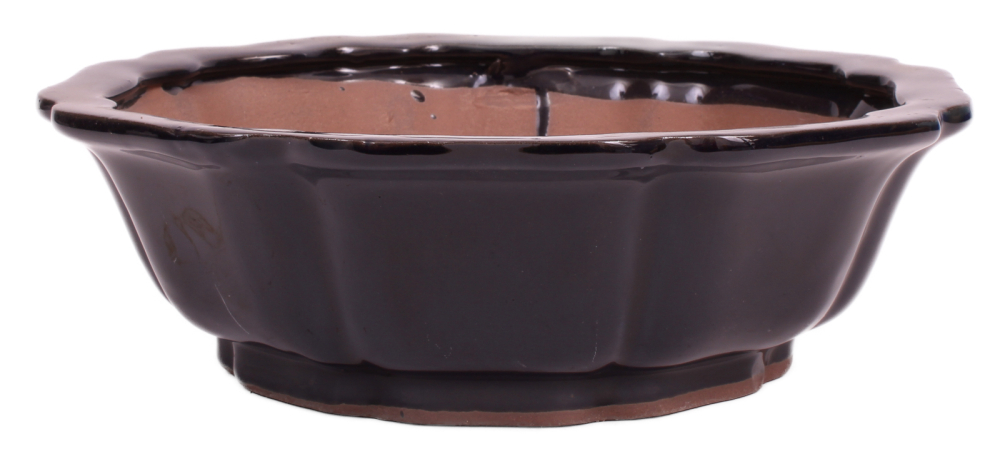 Bonsai - Schale rund 26.5 Ø x 8.5 cm dunkelblau  30146