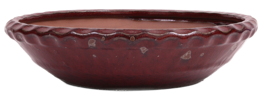 Bonsai - Schale rund 26 Ø x 6.7 cm bordeaux 30156