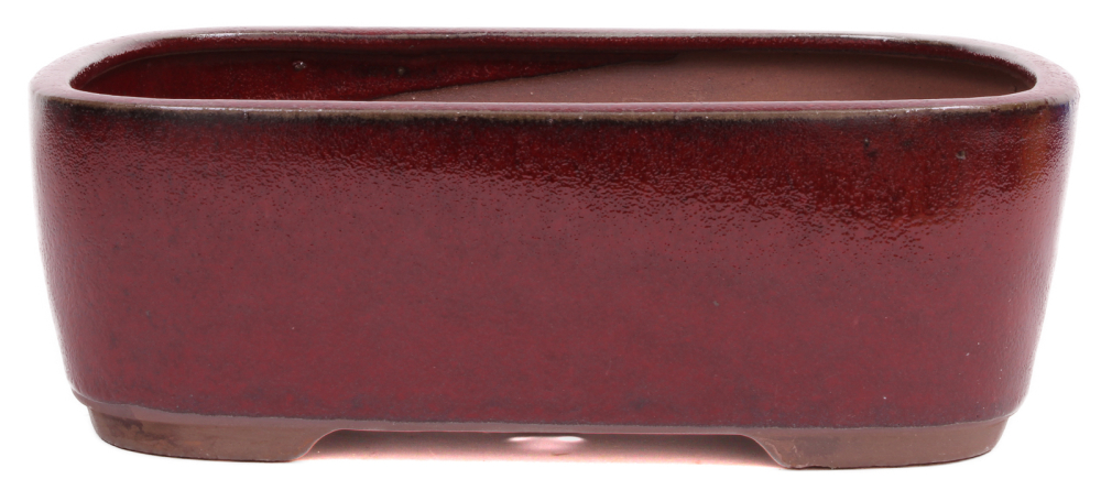 Bonsai - Schale  eckig 27 x 21 x 9.5 cm bordeaux 30161