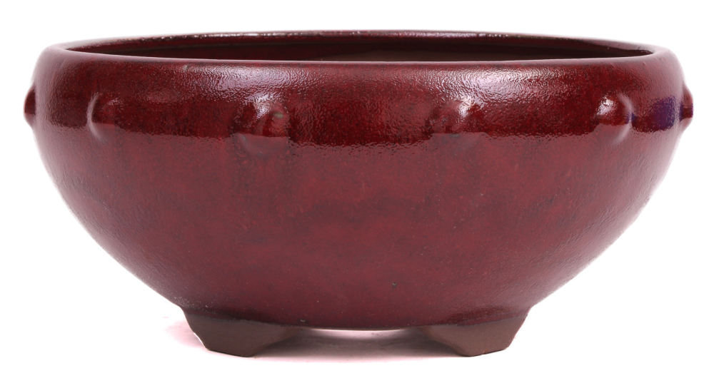 Bonsai - Schale rund 26.5 Ø x 12.5 cm bordeaux  30189