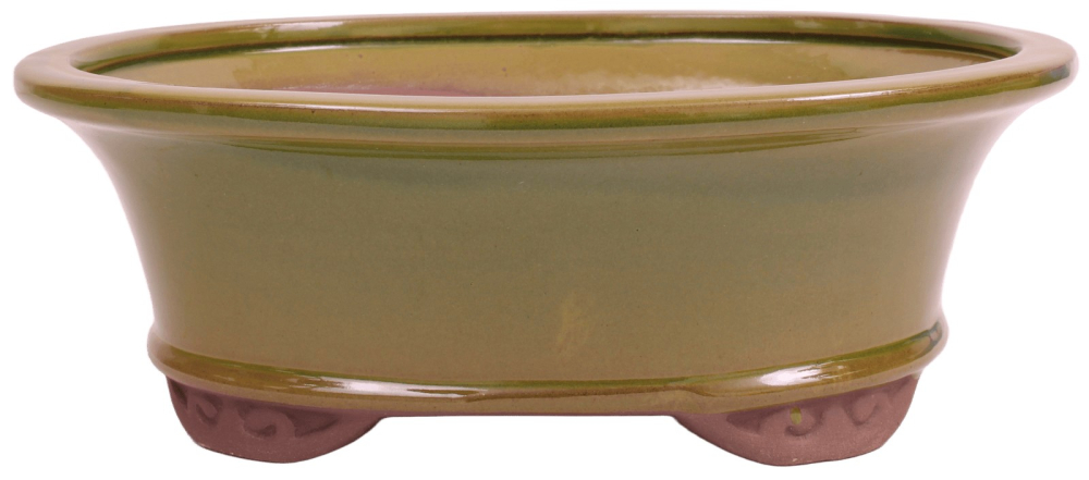 Bonsai - Schale oval 26.5 x 21 x 9.5 cm  grün 30197