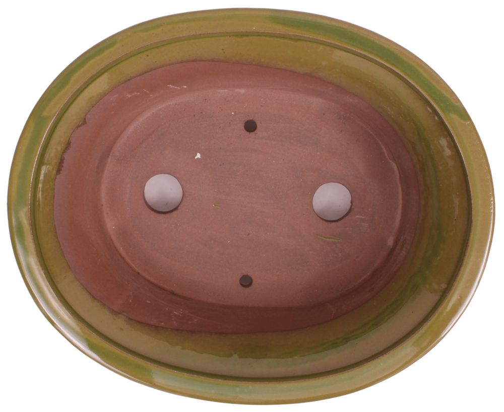 Bonsai - Schale oval 26.5 x 21 x 9.5 cm  grün 30197