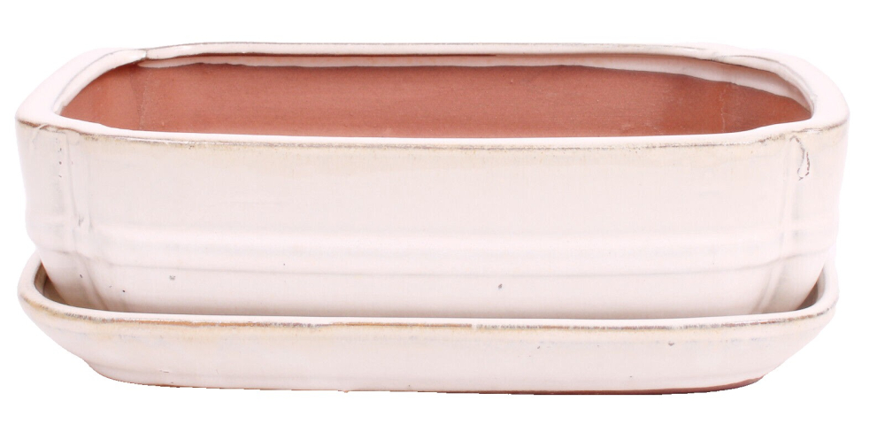 Bonsai - Schale  eckig 27.5 x 20.5 x 8 cm mit Untersetzer  cremefarben 31127