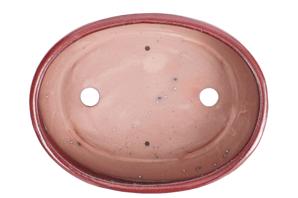 Bonsai - Schale oval 26.5 x 20 x 7.5 cm mit Untersetzer  bordeauxfarben 31132