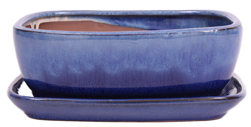 Bonsai - Schale eckig 25.5 x 21 x 9.5 cm , beige / blau , mit Untersetzer 31136