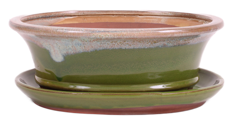 Bonsai - Schale oval 26 x 21 x 9.5 cm , beige / grün , mit Untersetzer 31138