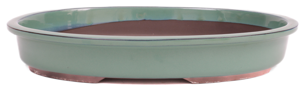 Bonsai - Schale  oval 38 x 30 x 6 cm frostfest grün aus Japan 40014