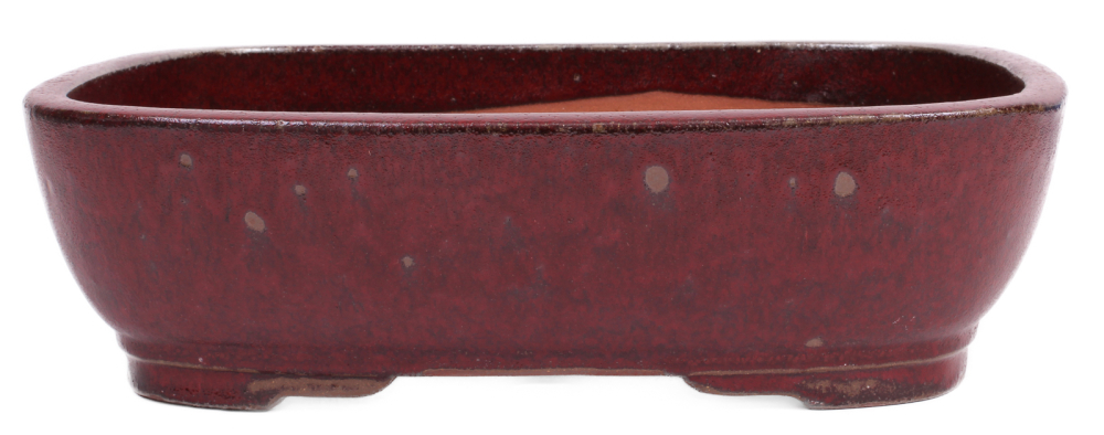 Bonsai - Schale  eckig 37 x 29 x 10.5 cm bordeaux 40076