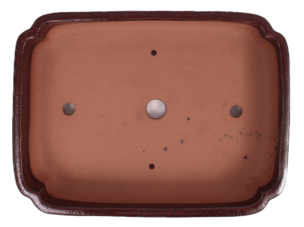 Bonsai - Schale eckig 37.5 x 28.5 x 8 cm bordeaux 40083