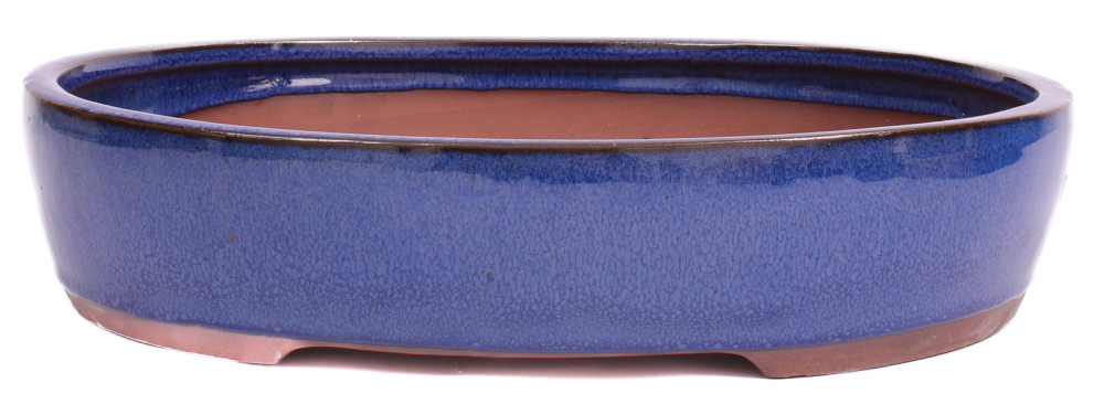 Bonsai - Schale oval 32 x 26 x 7 cm blau 40138