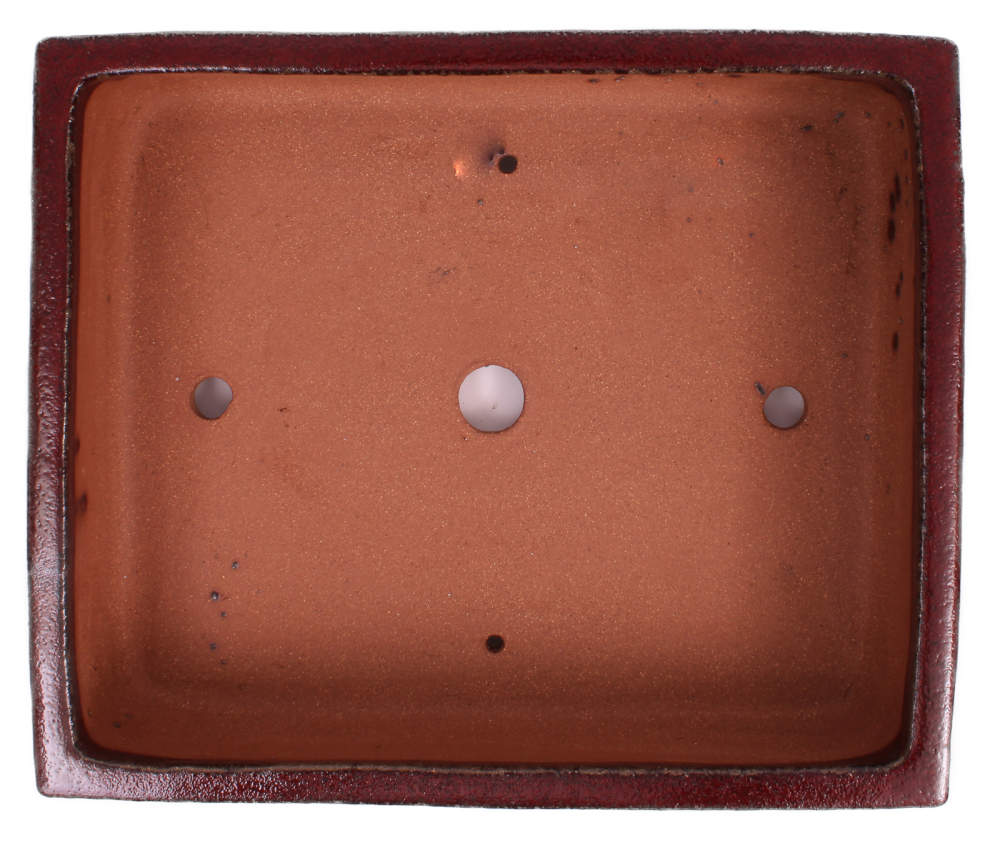 Bonsai - Schale  eckig  35 x 29 x 9.5 cm bordeaux frostfest 40147 2.Wahl