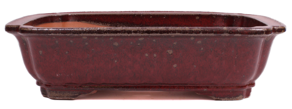 Bonsai - Schale eckig 46.5 x 36 x 12.5 cm bordeaux handgemacht frostfest  40153a  2. Wahl
