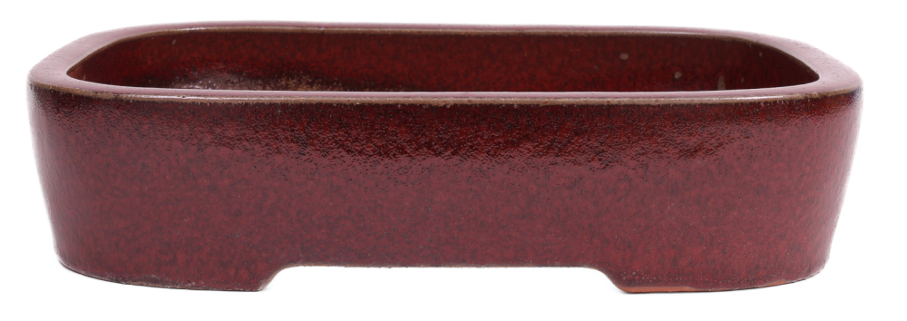 Bonsai - Schale  eckig 32 x 25 x 7.5 cm bordeaux frostfest 40155