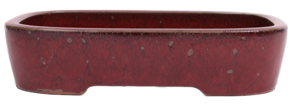 Bonsai - Schale  eckig 32 x 25 x 7.5 cm bordeaux frostfest 40155