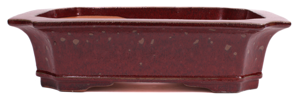 Bonsai - Schale  eckig 47.5 x 36 x 12.5 cm bordeaux frostfest 40165