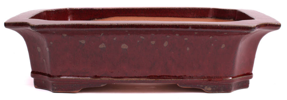 Bonsai - Schale  eckig 47.5 x 36 x 12.5 cm bordeaux frostfest 40165