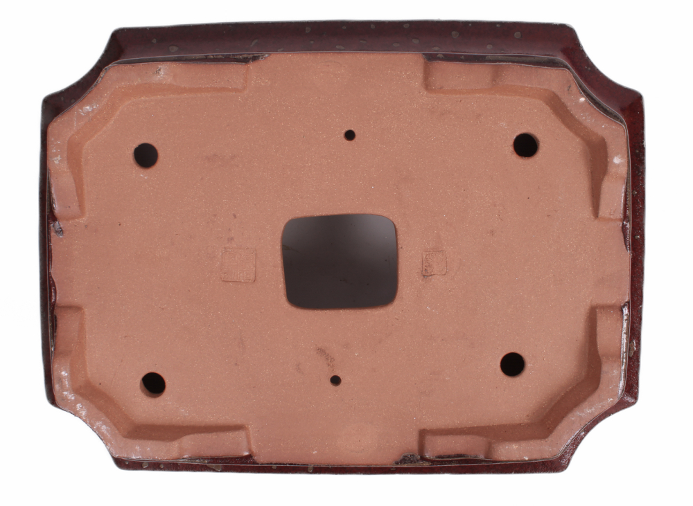 Bonsai - Schale  eckig 47.5 x 36 x 12.5 cm bordeaux frostfest 40165