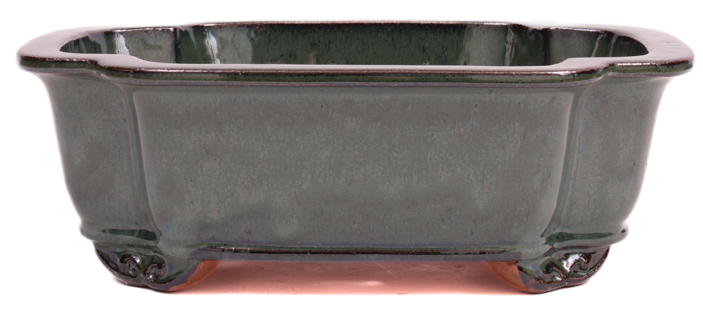 Bonsai - Schale  eckig  31 x 27 x 11 cm moosgrün frostfest 40166