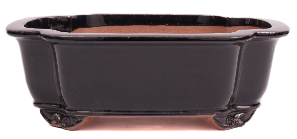 Bonsai - Schale  eckig  31 x 27 x 11 cm dunkelblau frostfest 40169