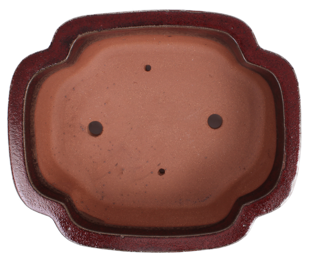 Bonsai - Schale  eckig  31 x 27 x 11 cm boreaux frostfest 40170