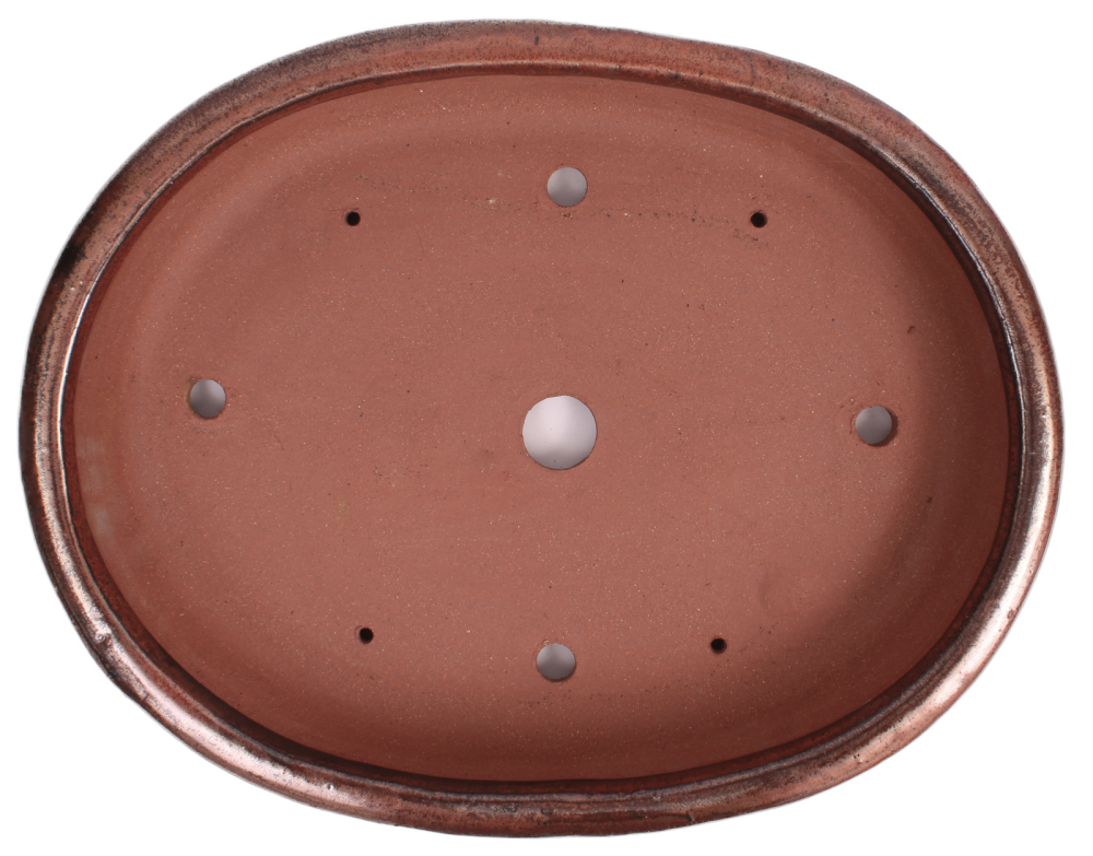 Bonsai - Schale oval 48 x 38.5 x 8 cm kupfer  frostfest 40242