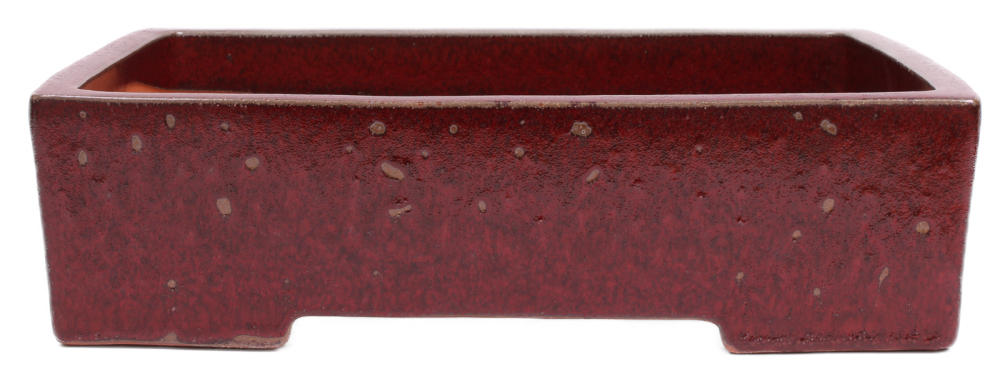 Bonsai - Schale  eckig 42.5 x 35 x 11 cm bordeaux frostfest 40196A 2.Wahl