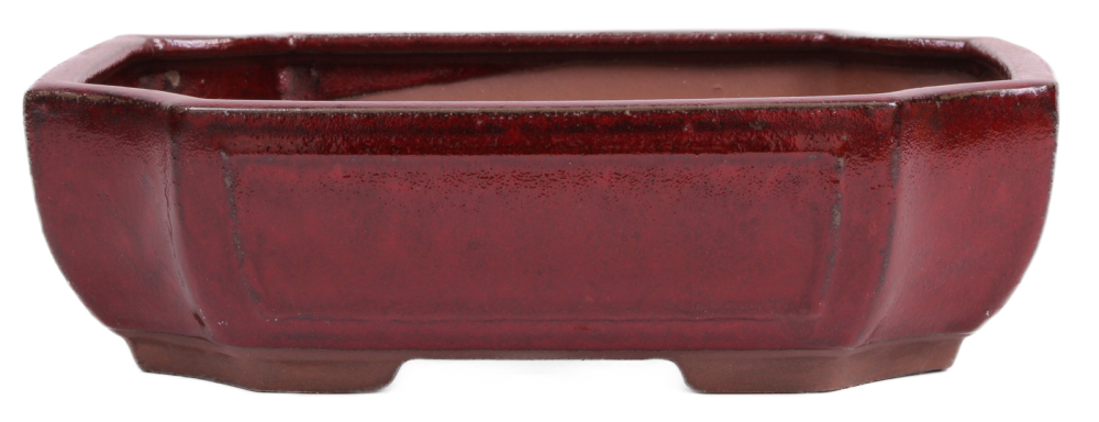 Bonsai - Schale eckig 32 x 24 x 9.5 cm bordeaux  40208