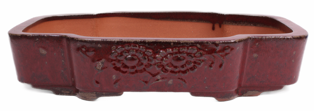 Bonsai - Schale eckig 53.5 x 44 x 11 cm bordeaux mit Relief  frostfest 40210