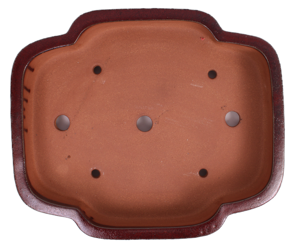 Bonsai - Schale eckig 53.5 x 44 x 11 cm bordeaux mit Relief  frostfest 40210