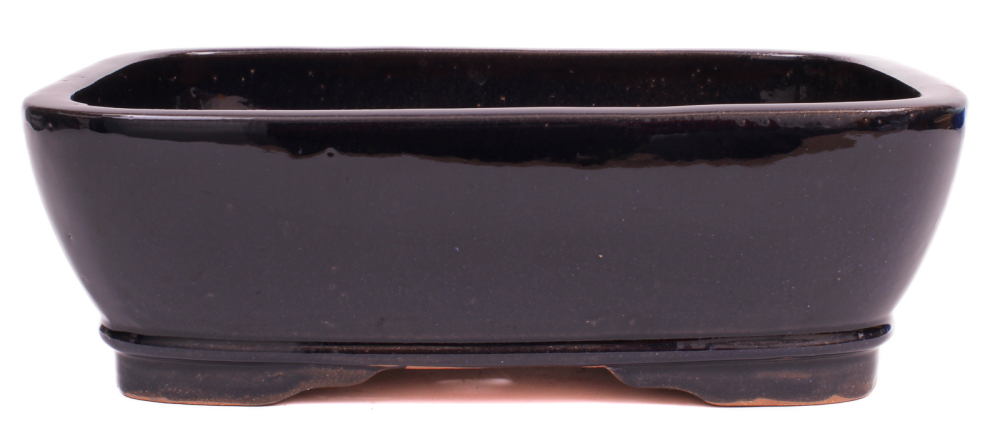 Bonsai - Schale  eckig  31 x 25 x 9.5 cm dunkelblau frostfest 40224